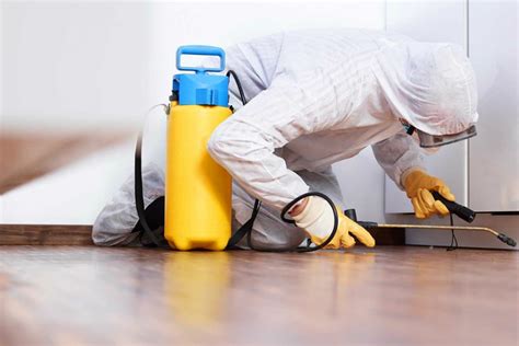 How much do pest control charge. Things To Know About How much do pest control charge. 
